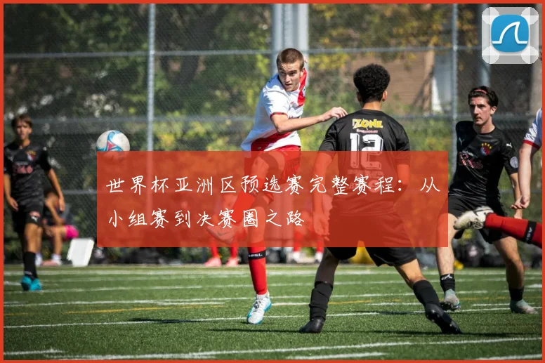 世界杯亚洲区预选赛完整赛程：从小组赛到决赛圈之路