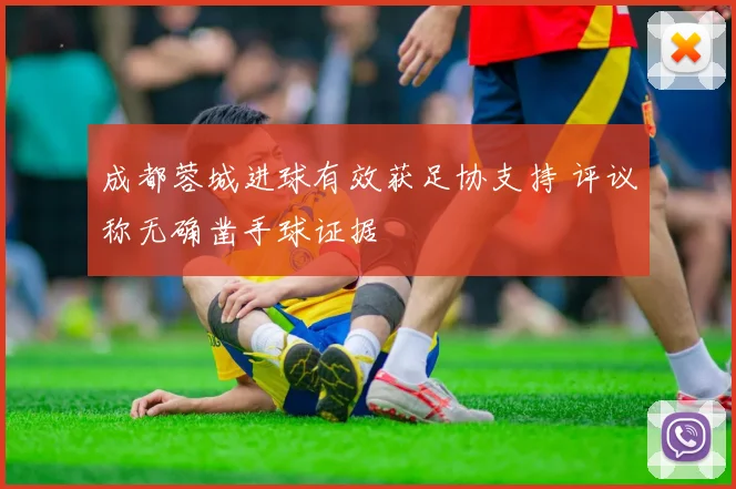 成都蓉城进球有效获足协支持 评议称无确凿手球证据