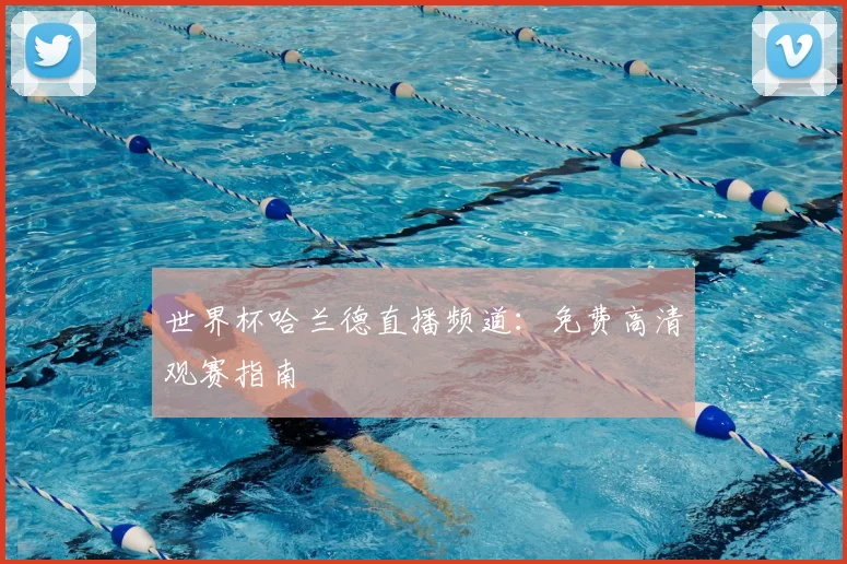 世界杯哈兰德直播频道：免费高清观赛指南