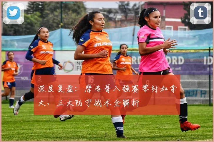 深度复盘:摩洛哥八强赛零封加拿大,三大防守战术全解析