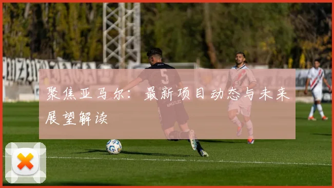 聚焦亚马尔:最新项目动态与未来展望解读