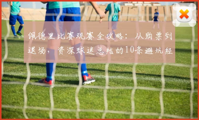 佩德里比赛观赛全攻略:从购票到退场,资深球迷总结的10条避坑经验