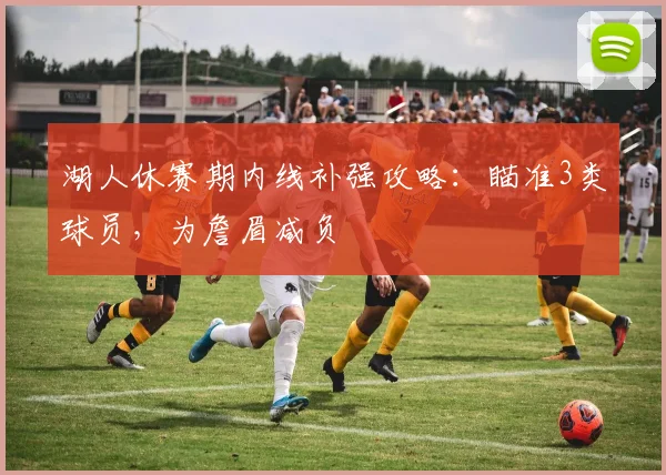 湖人休赛期内线补强攻略:瞄准3类球员,为詹眉减负